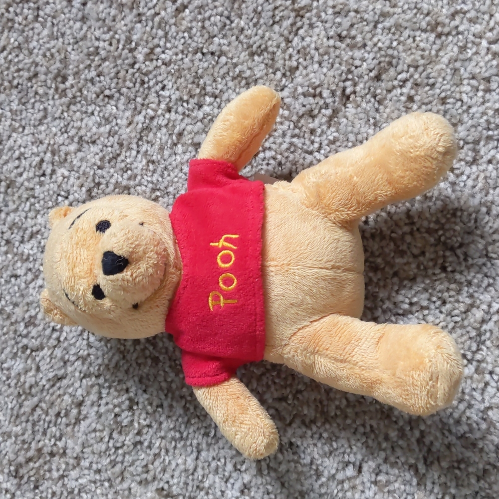 Winnie the Pooh Plushie